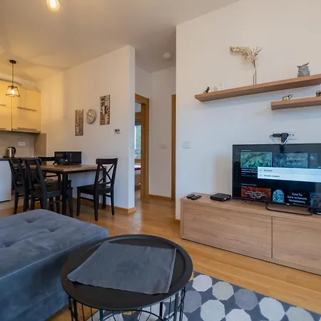 Elsa I S47 Апартаменты Златибор